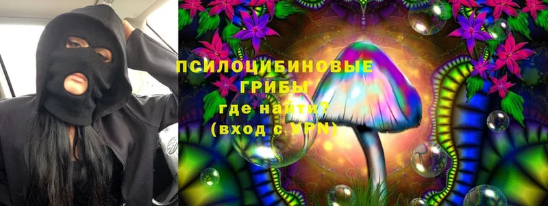 Галлюциногенные грибы Cubensis  как найти   ссылка на мегу онион  нарко площадка официальный сайт  Лаишево 